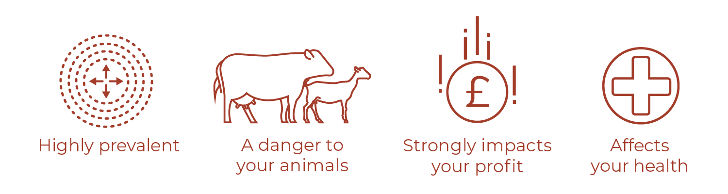 Q Fever risks